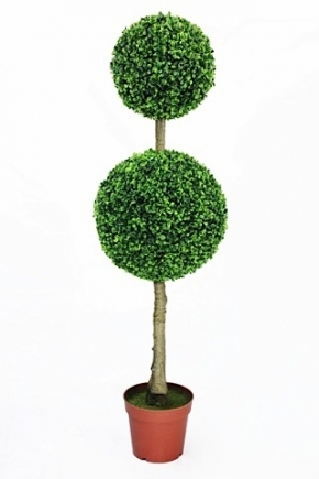 GREENERY, Topiary - Double Boxwood Ball Tree - 135cm H